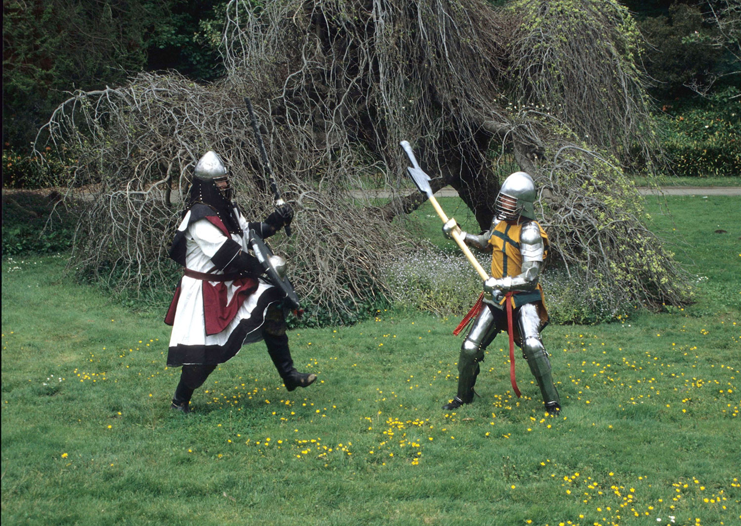 Anochrastic Knights In Golden Gate Park 2000