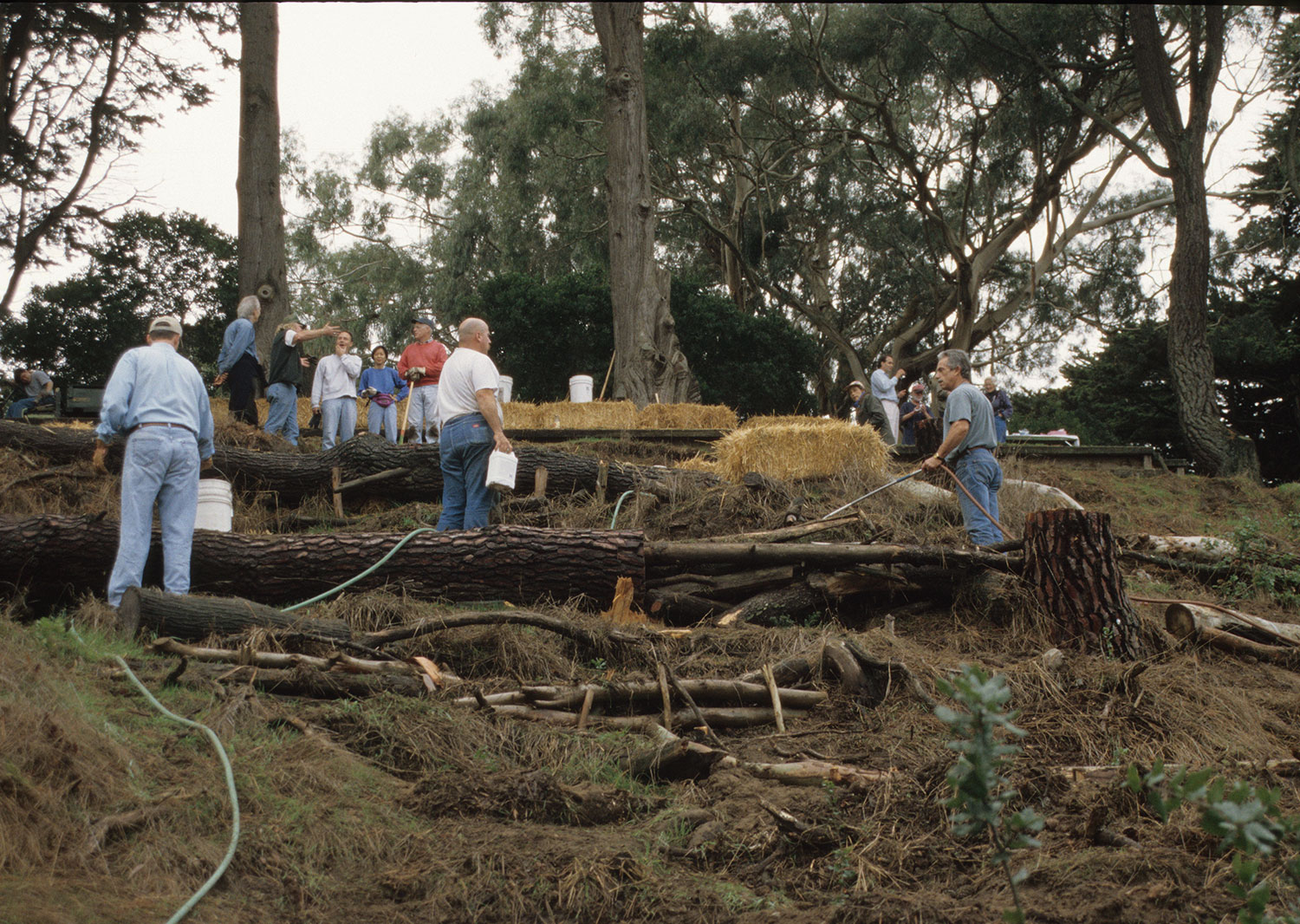 Community lead erosion control at Edgehill Park 1999