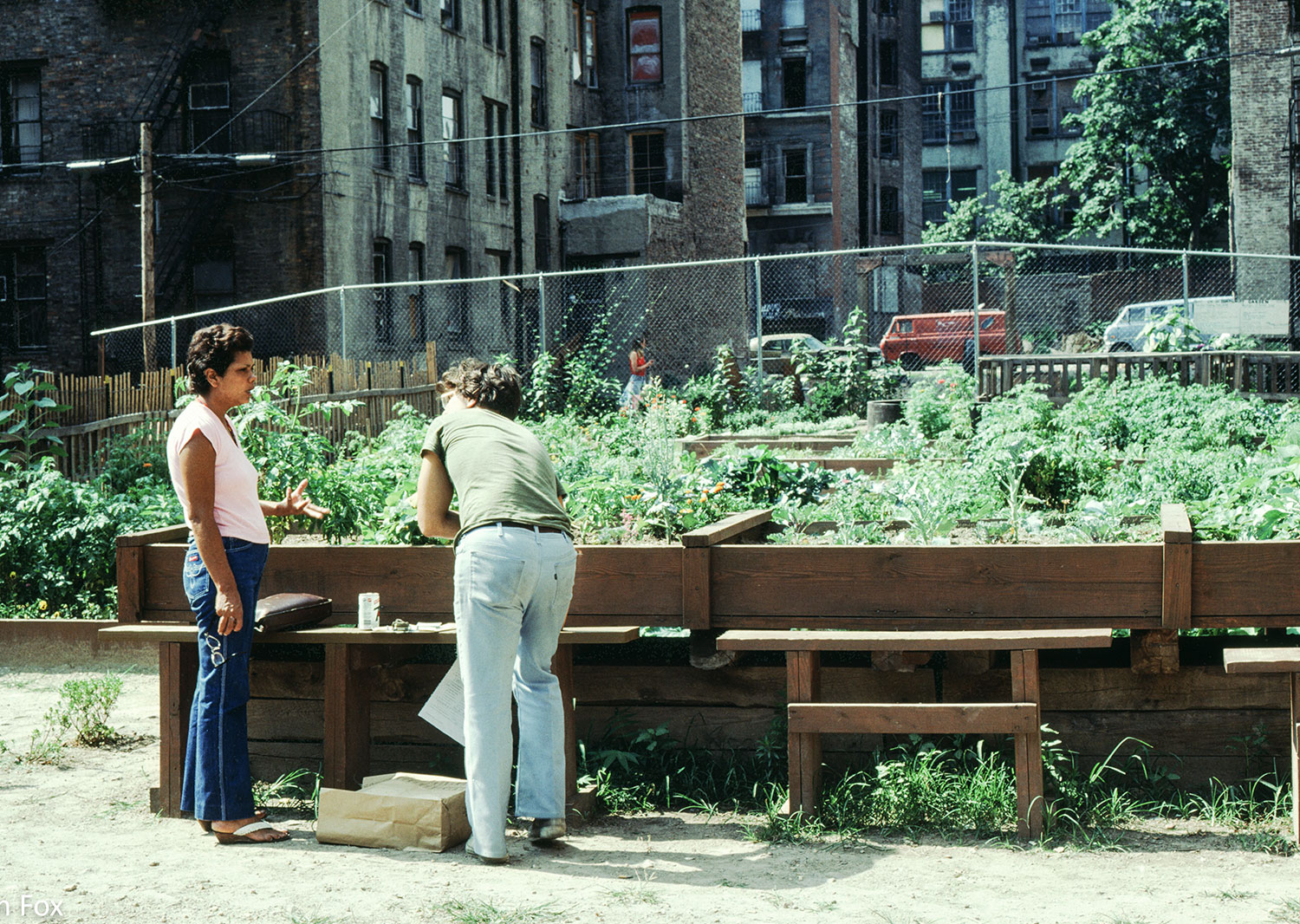 Community garden survey in 1984