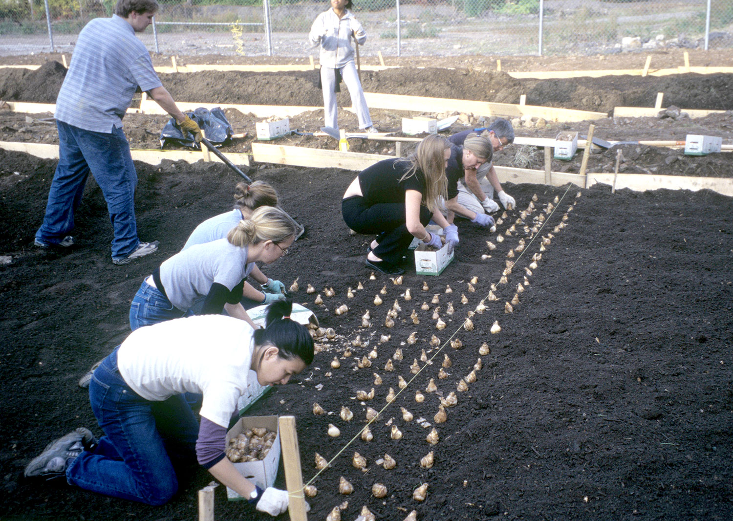 Volunteers Planting Bulbs For The 9-11 Tribute 2002