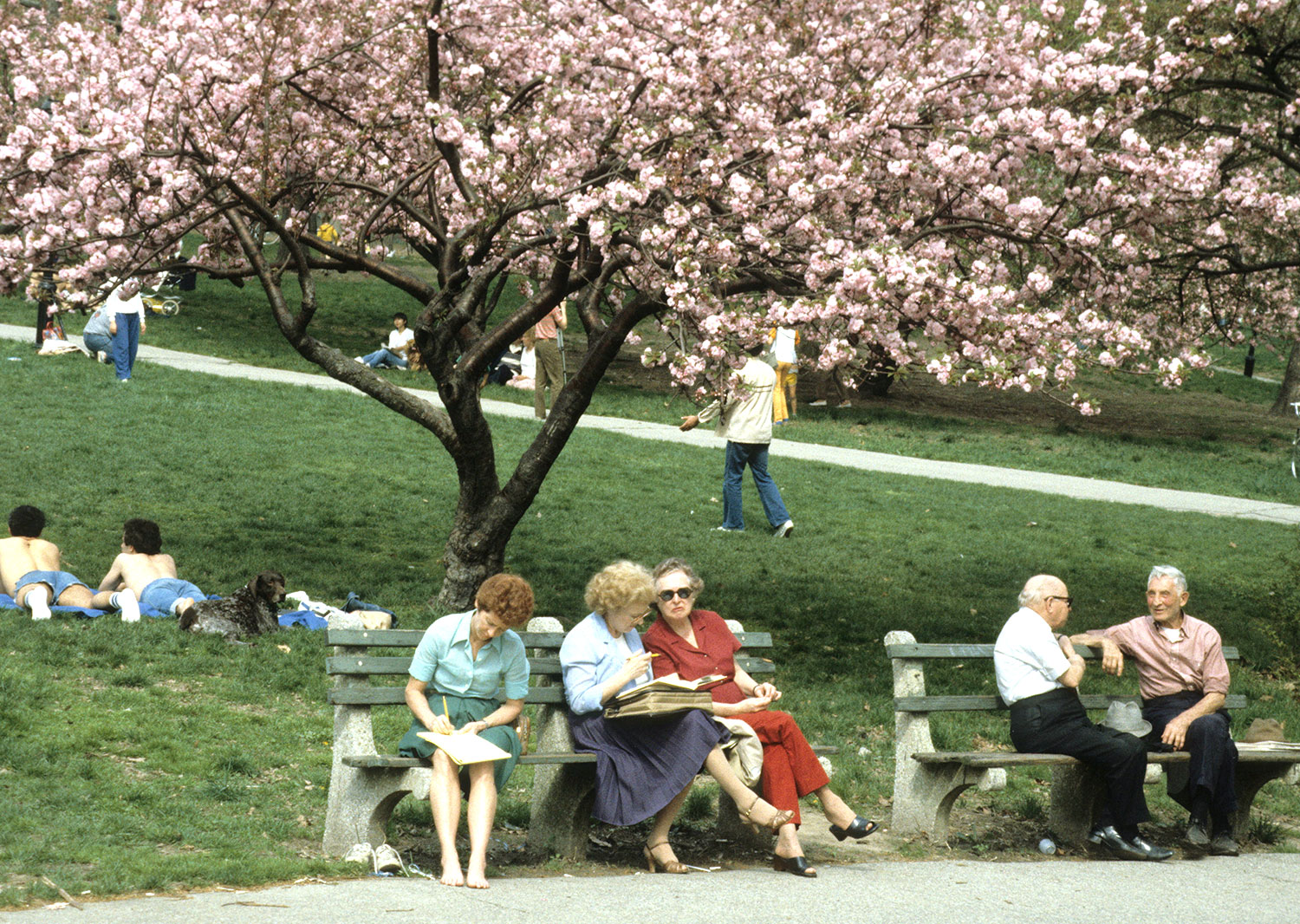 Sitting Under The Trees In Central Park 1983
