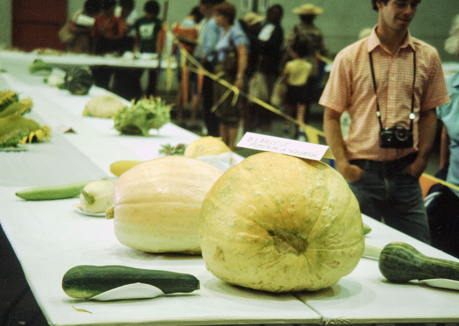 City Gardeners Harvest Festival Produce Judging 1982