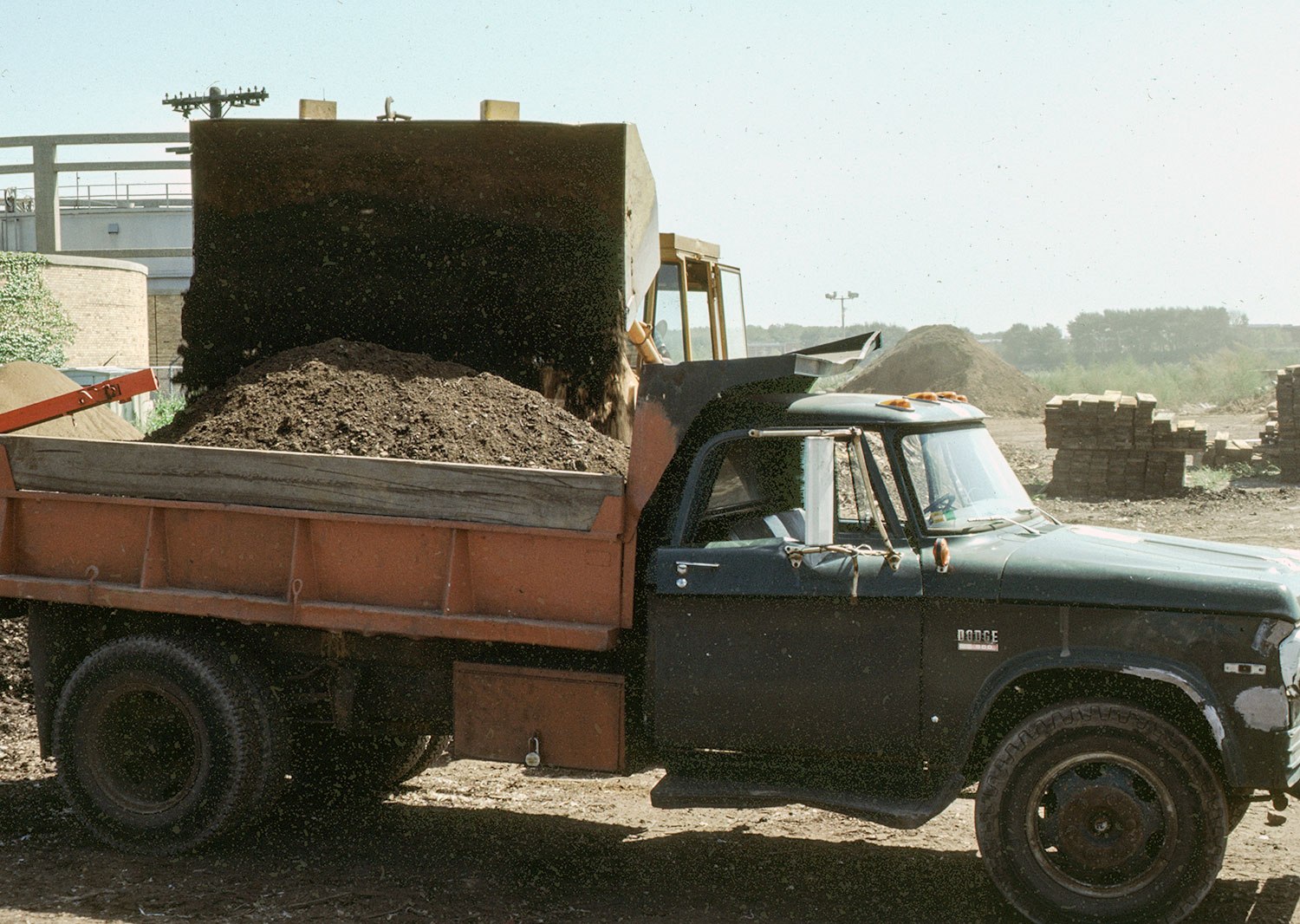 Delivering compost 1980