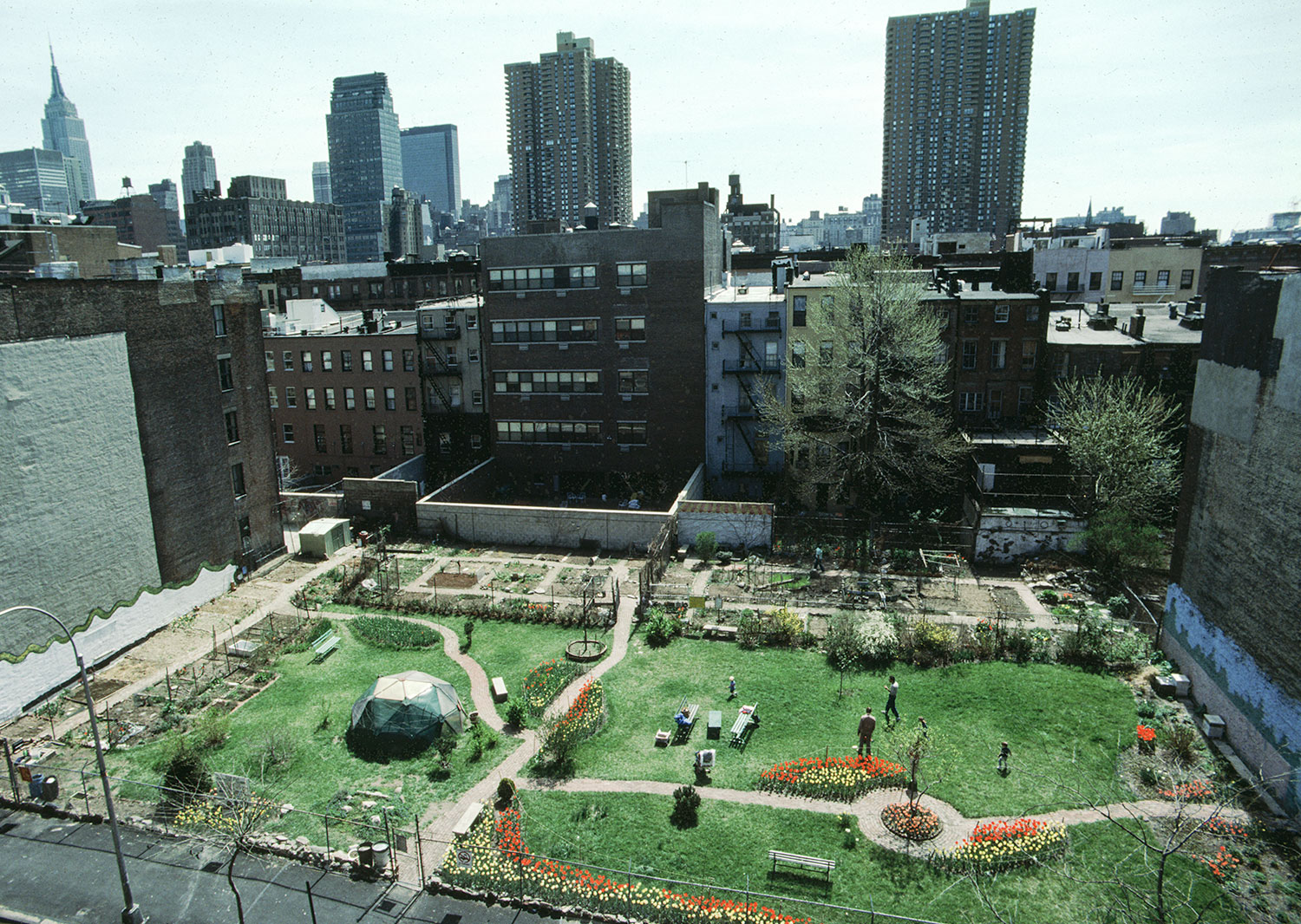 Clinton Community Garden in 1984